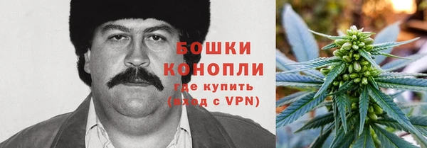 герыч Козельск