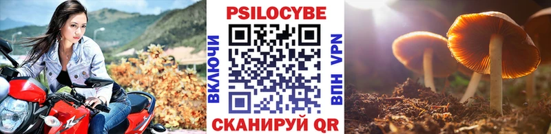 Галлюциногенные грибы Magic Shrooms  Сковородино 